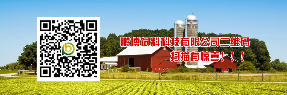 鵬博二維碼，掃描有驚喜！